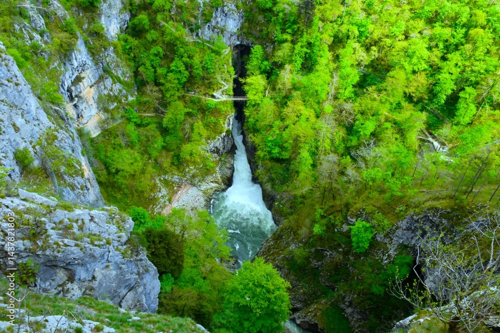 View of Reka river flowing from Škocjan caves in Primorska, Slovenia