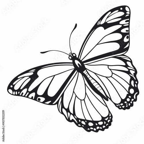butterfly vector illustration