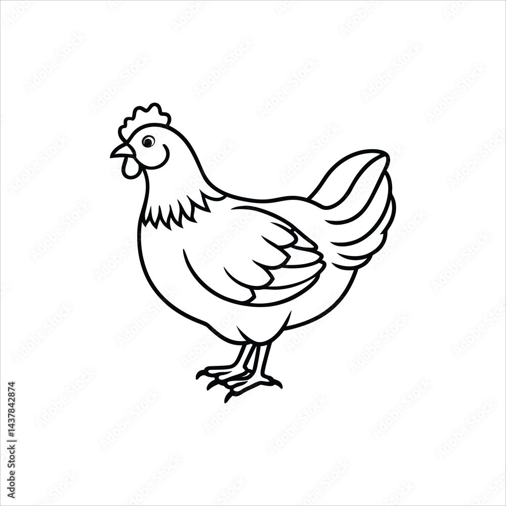 chicken vector chicken vector