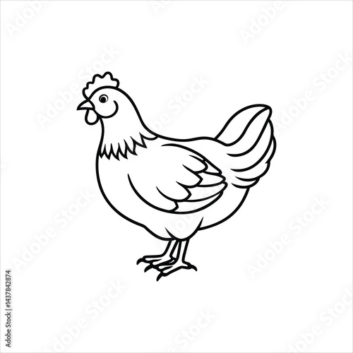 chicken vector