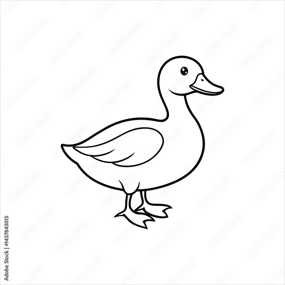 duck duck