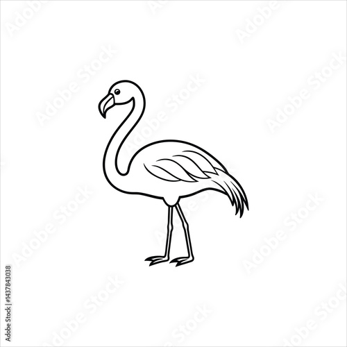 flamingo