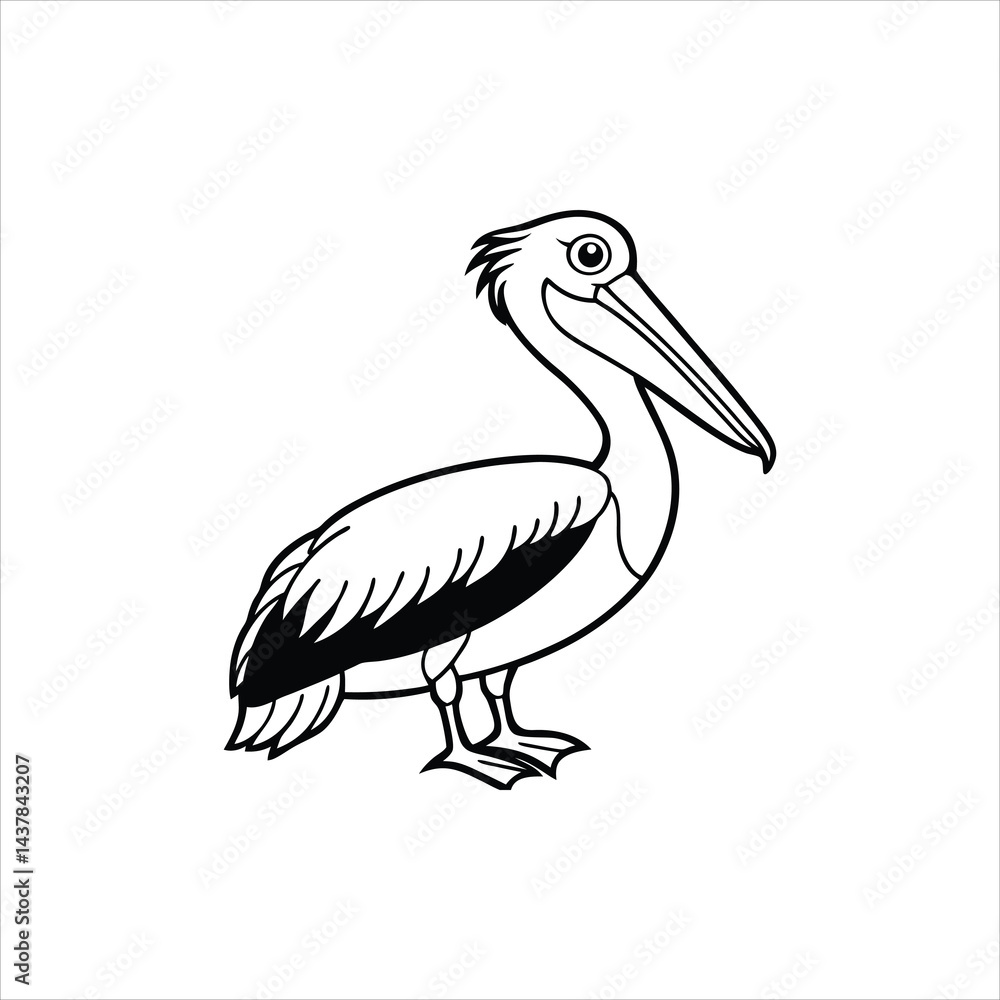 pelican pelican