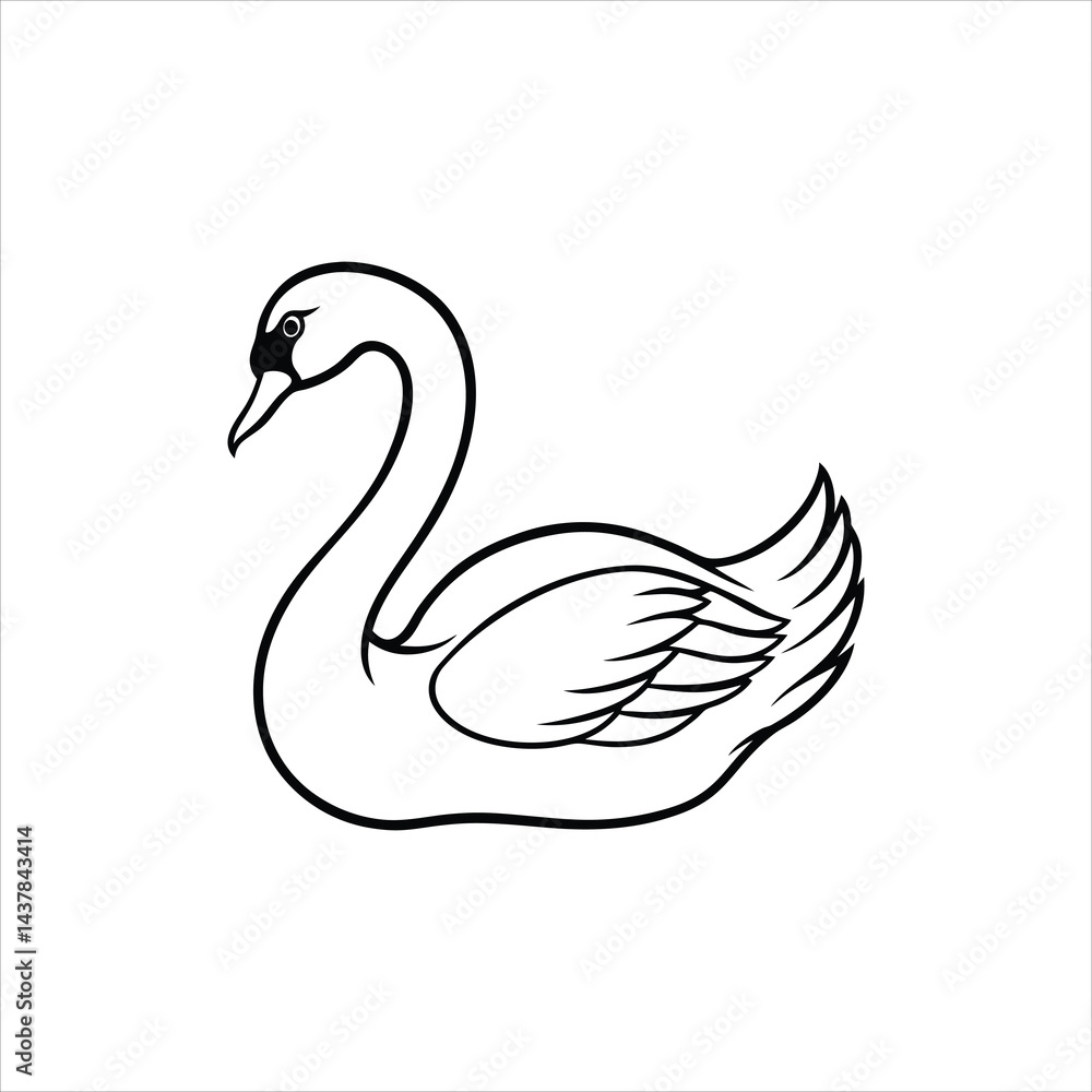 black swan vector black swan vector