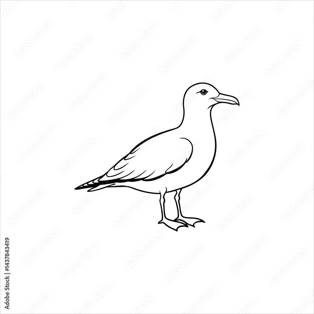 Obraz premium seagull