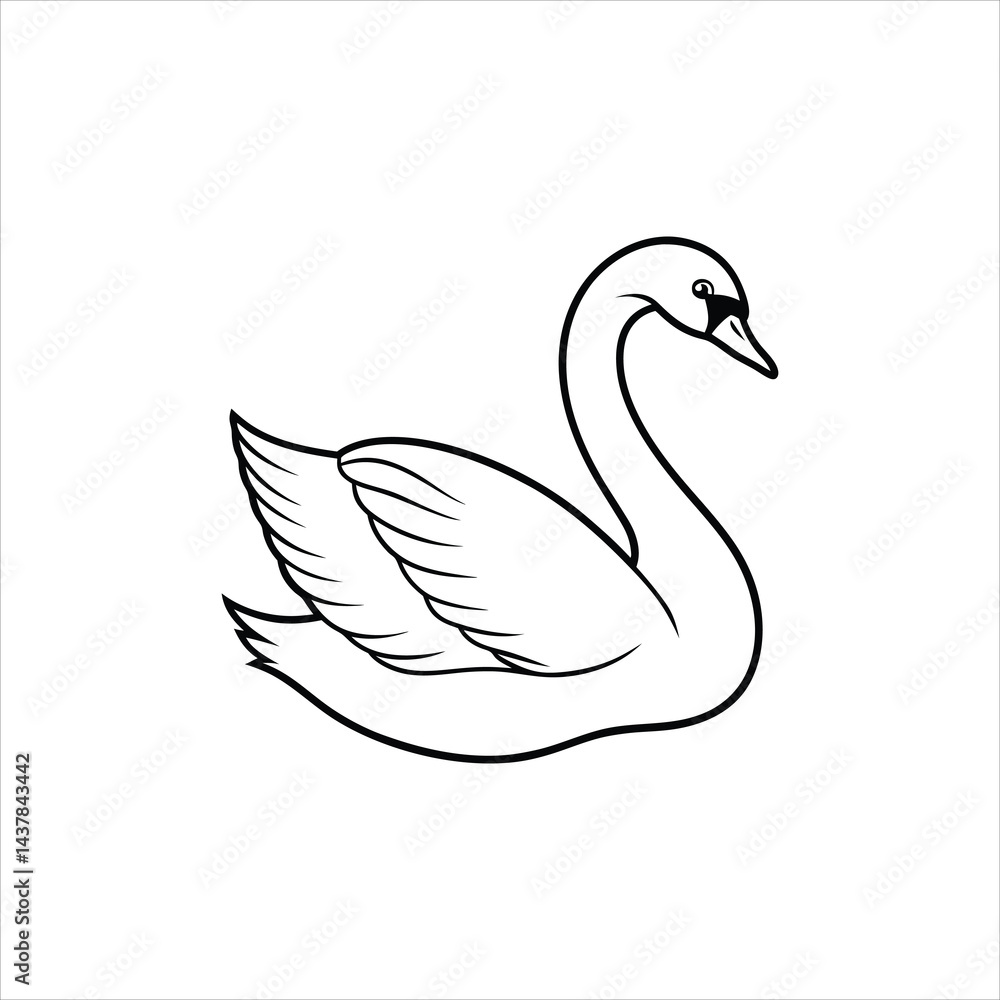 swan swan