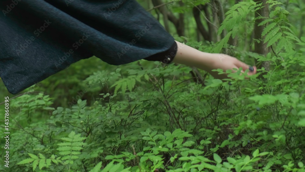 Fototapeta premium Embarking on a Journey of Discovering Nature Gathering Plants Amidst Lush Greenery Vastness. Media