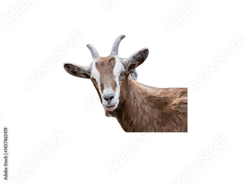 goat on a white background
