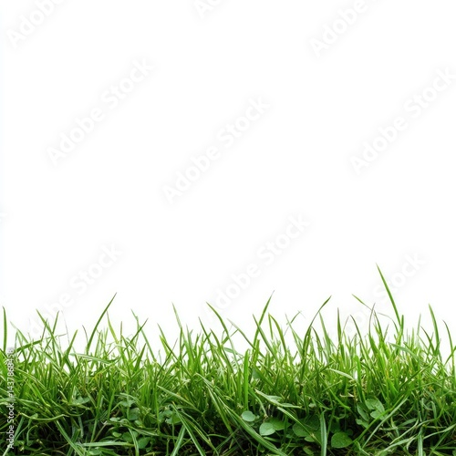 Vibrant Green Grass Blades