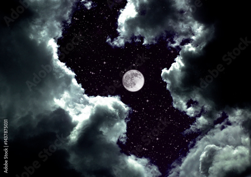 Obraz na płótnie The moon in the night sky w salonie