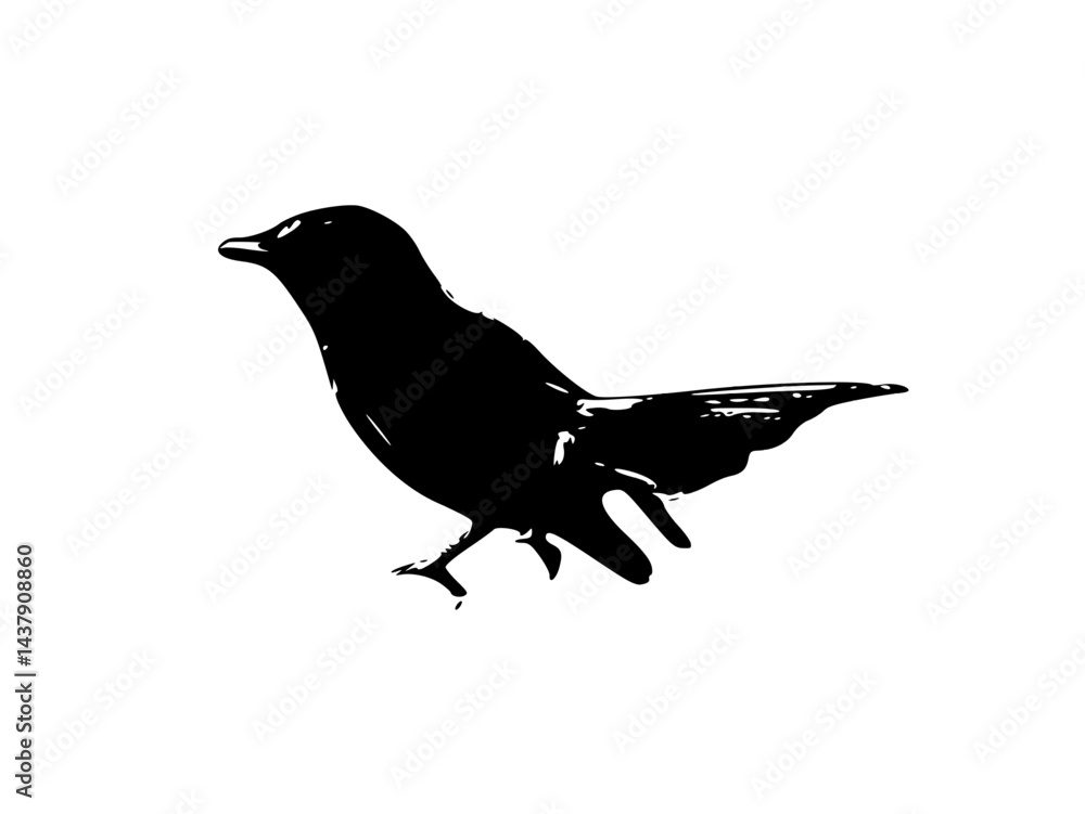 Fototapeta premium black silhouette of a bird