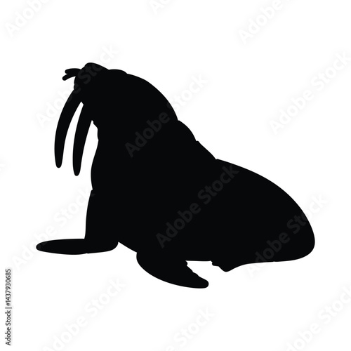 Silhouette of Walrus animal vector art illustration image black isolated on white background