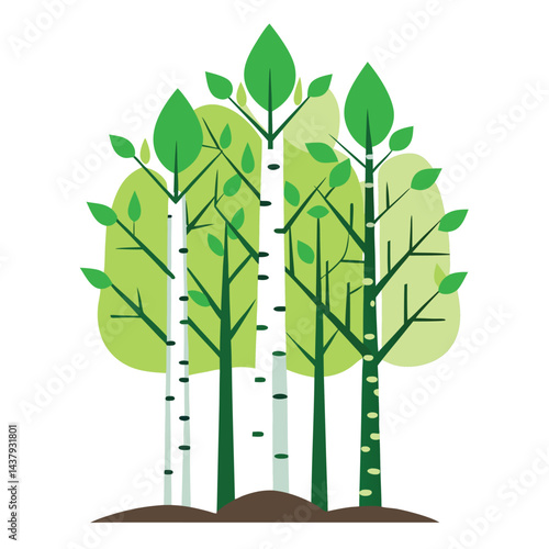 Birch trees icon on white background 