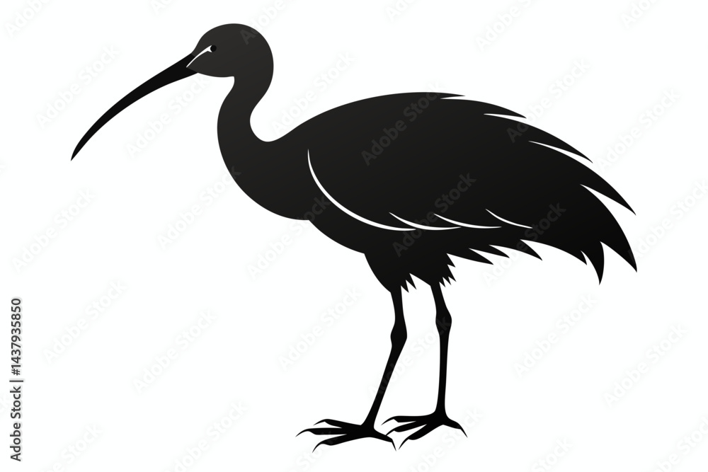 Fototapeta premium ibis sihouette black vector