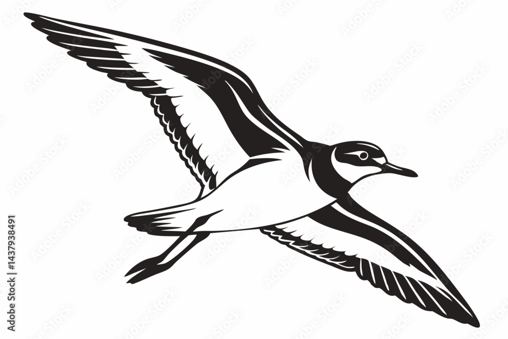 Fototapeta premium plover sihouette black vector
