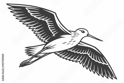 plover sihouette black vector