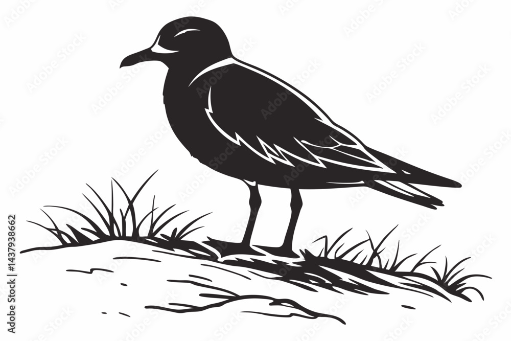 Obraz premium plover sihouette black vector