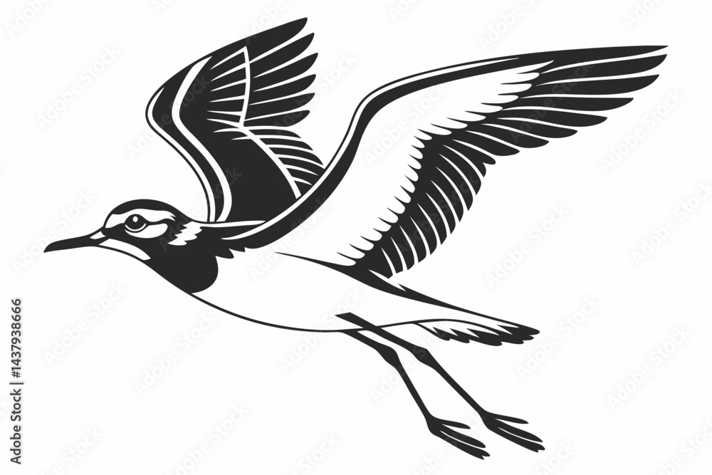 Fototapeta premium plover sihouette black vector