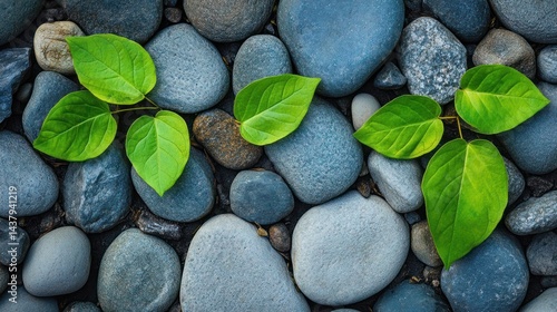 Wallpaper Mural Serene Harmony: Vibrant Green Leaves on Smooth River Rocks Torontodigital.ca
