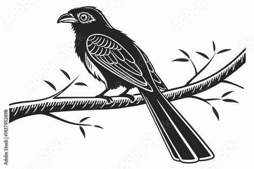 trogon sihouette black vector