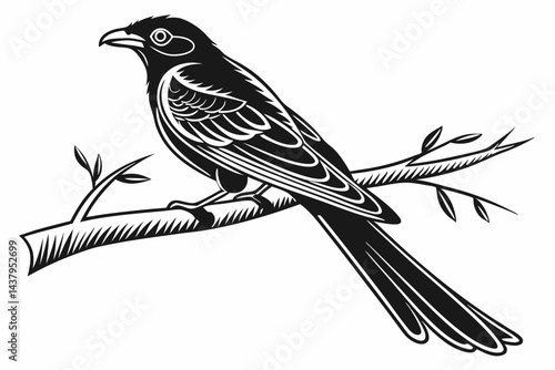 trogon sihouette black vector