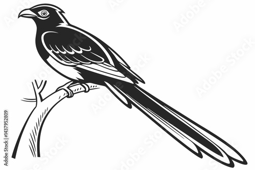 trogon sihouette black vector