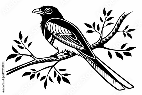 trogon sihouette black vector