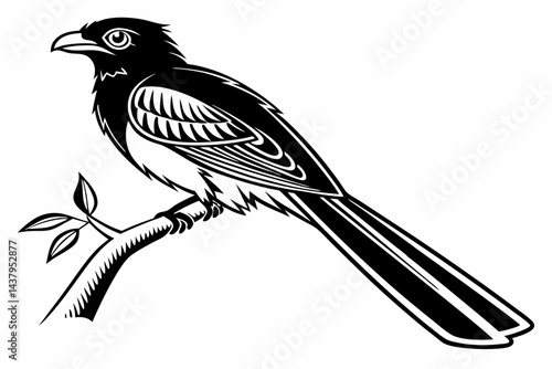 trogon sihouette black vector