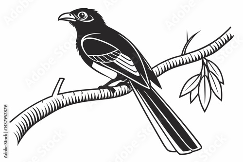 trogon sihouette black vector