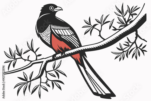 trogon sihouette black vector