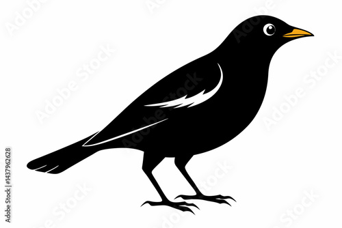 myna sihouette black vector