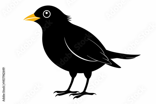 myna sihouette black vector