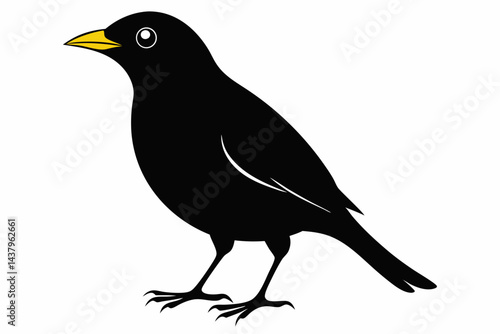 myna sihouette black vector