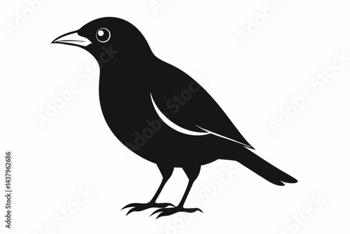 myna sihouette black vector