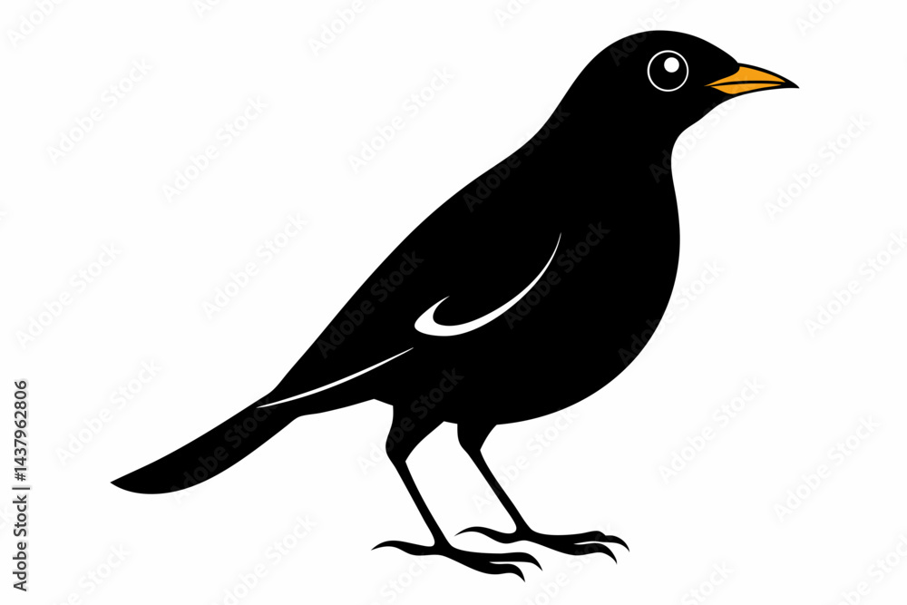 Obraz premium myna sihouette black vector