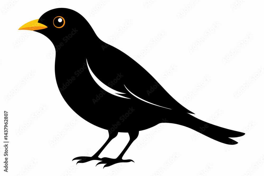 Fototapeta premium myna sihouette black vector