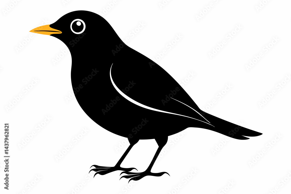 Obraz premium myna sihouette black vector