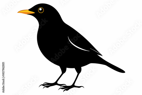 myna sihouette black vector