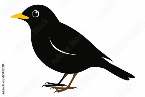 myna sihouette black vector