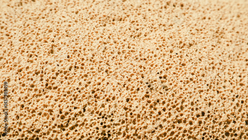 Texture pumice stone as background 