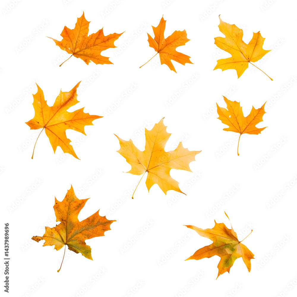 Autumn leaves falling background graphic design Autumn leaves falling background graphic design