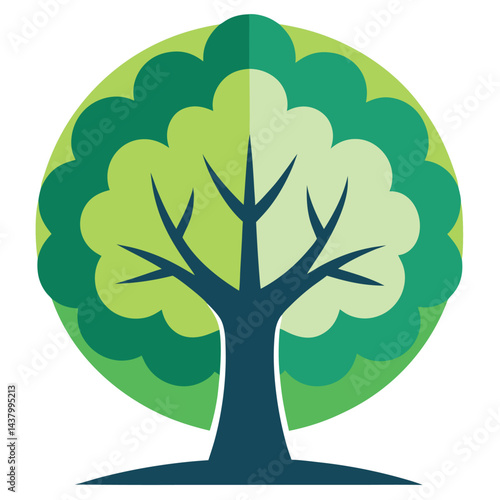 Sycamore trees icon set isolated on white background