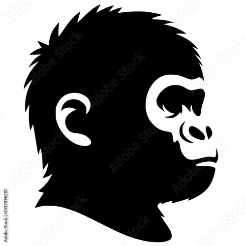 Silhouette portrait of a baby kingkong
