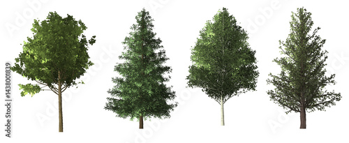 collection of trees isolated on white