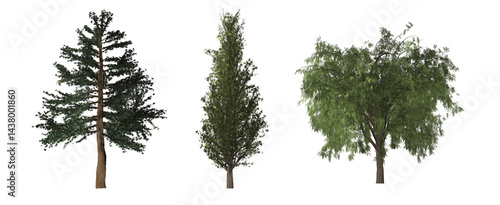 green tree isolated on white