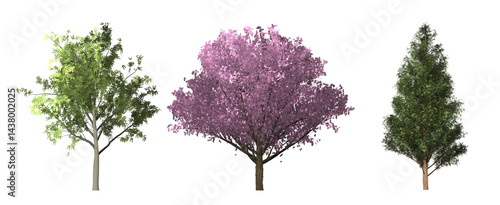 vector illustration of a thistle