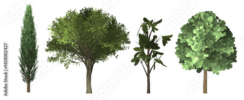 set of trees