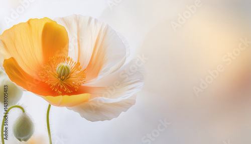 Orange poppy flower Generated image