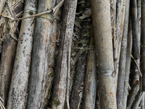 pile of old bamboo