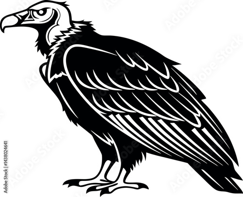 Vulture Silhouette Artwork, Black and White Vulture Drawing